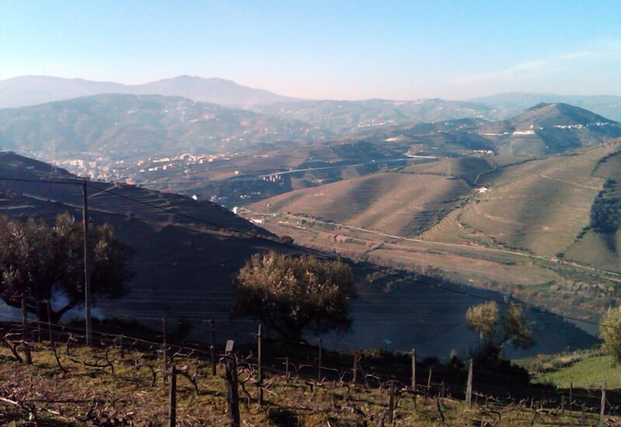 Quinta De Casaldronho Wine Hotel Lamego Eksteriør billede