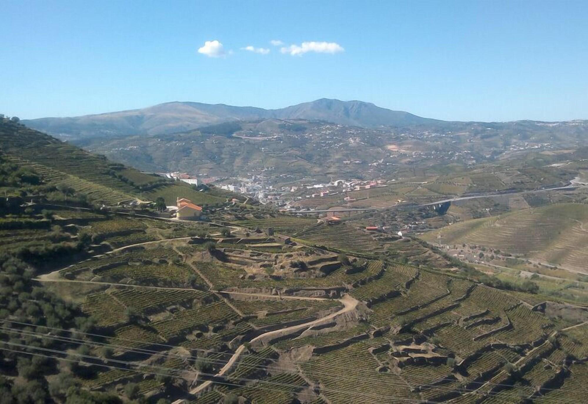 Quinta De Casaldronho Wine Hotel Lamego Eksteriør billede