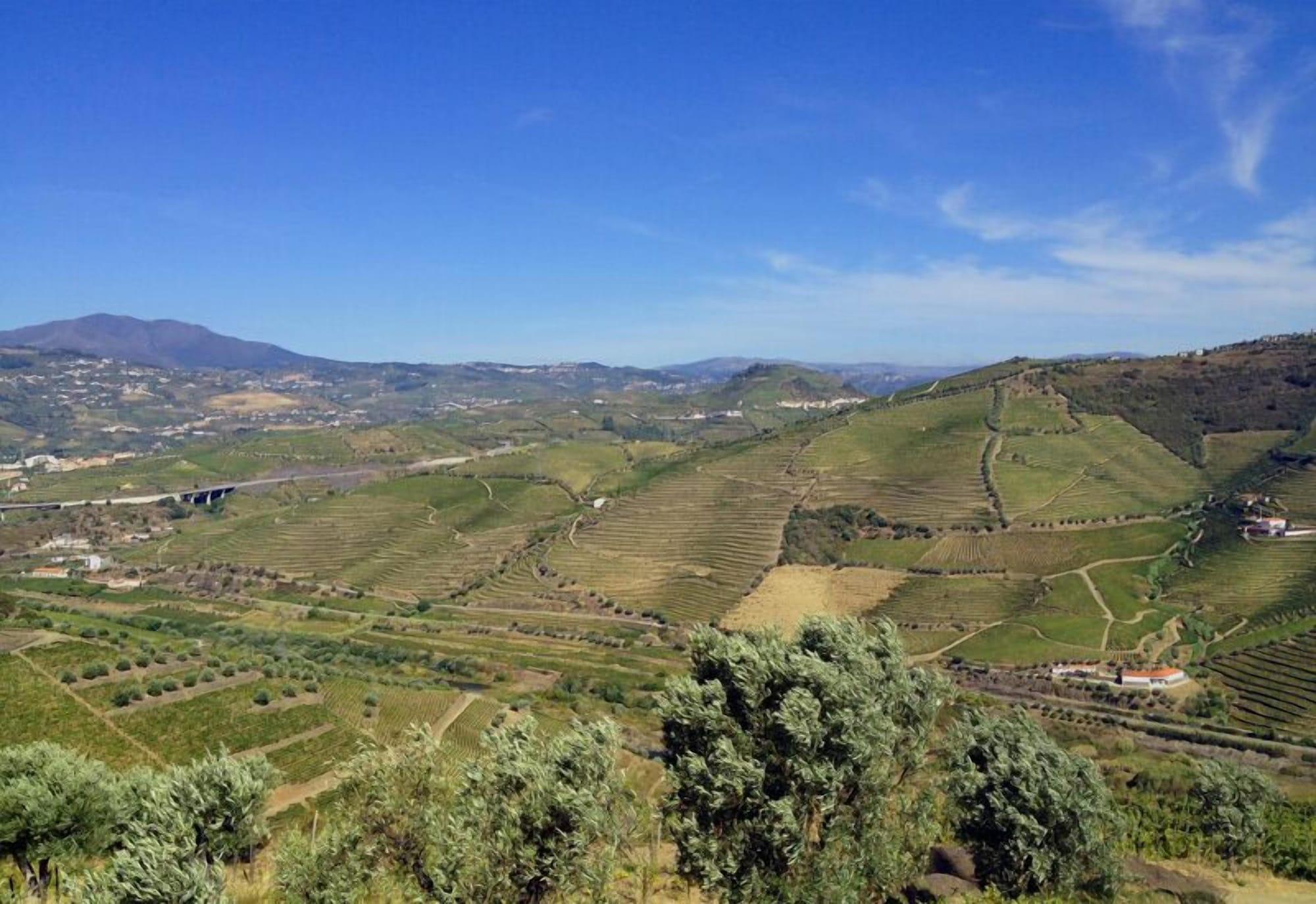 Quinta De Casaldronho Wine Hotel Lamego Eksteriør billede