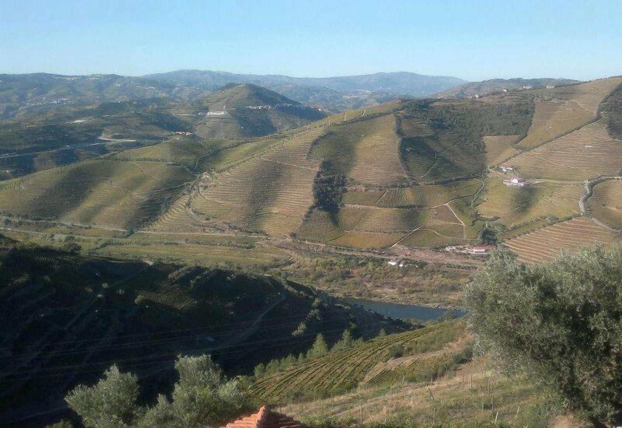 Quinta De Casaldronho Wine Hotel Lamego Eksteriør billede